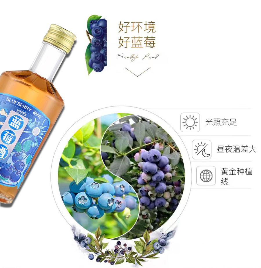 1670574915843234.jpg 藍(lán)莓酒詳情_(kāi)02.jpg